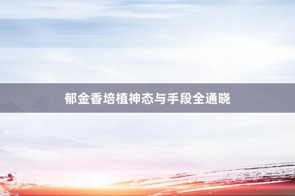 郁金香培植神态与手段全通晓